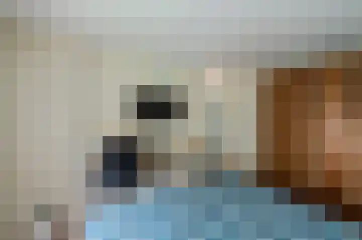 Pampuspad 34 Emmeloord thumbnail 29