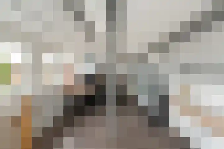 Pampuspad 34 Emmeloord thumbnail 38