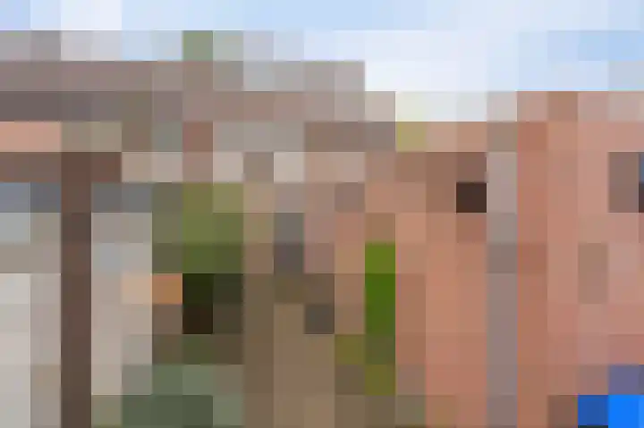 Pampuspad 34 Emmeloord thumbnail 4