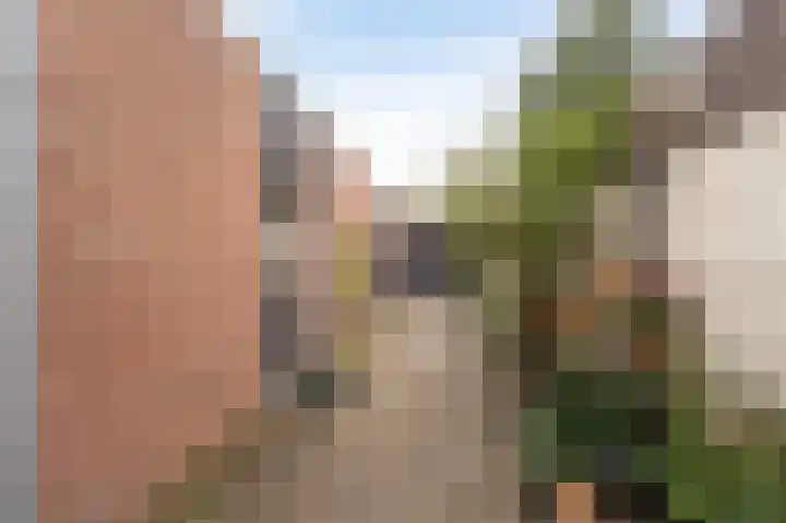 Pampuspad 34 Emmeloord thumbnail 43