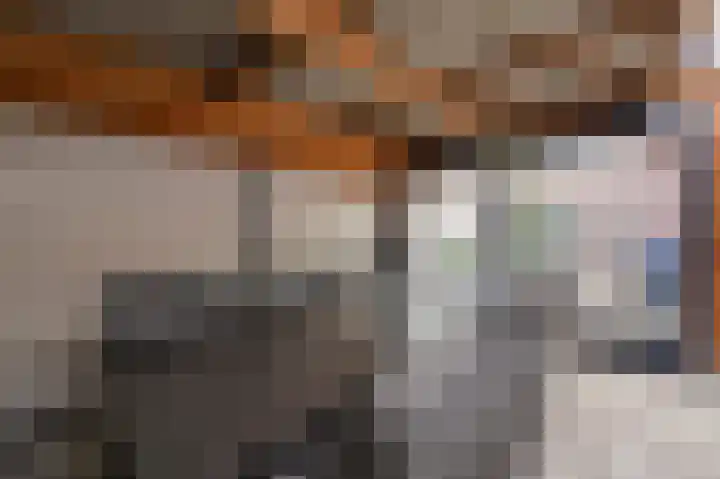 Pampuspad 34 Emmeloord thumbnail 49
