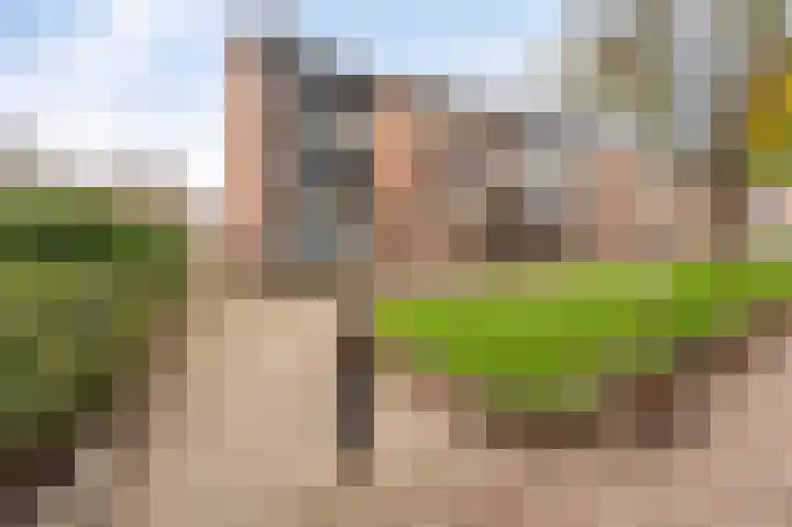 Pampuspad 34 Emmeloord thumbnail 5