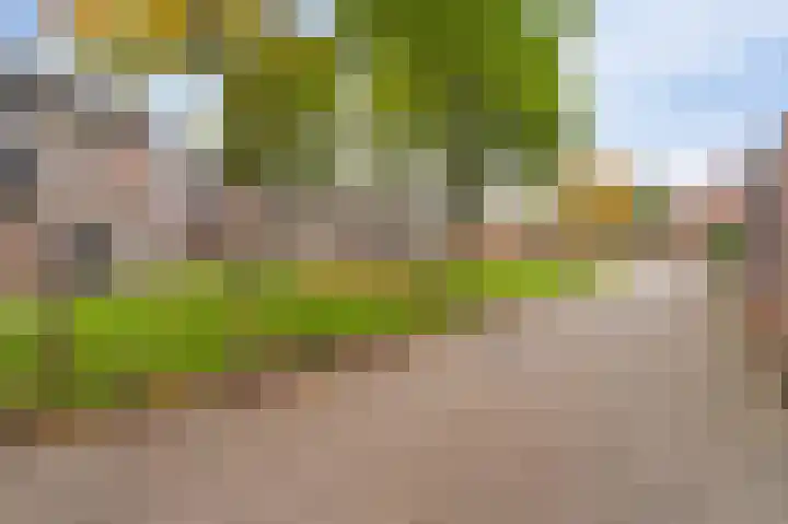 Pampuspad 34 Emmeloord thumbnail 6