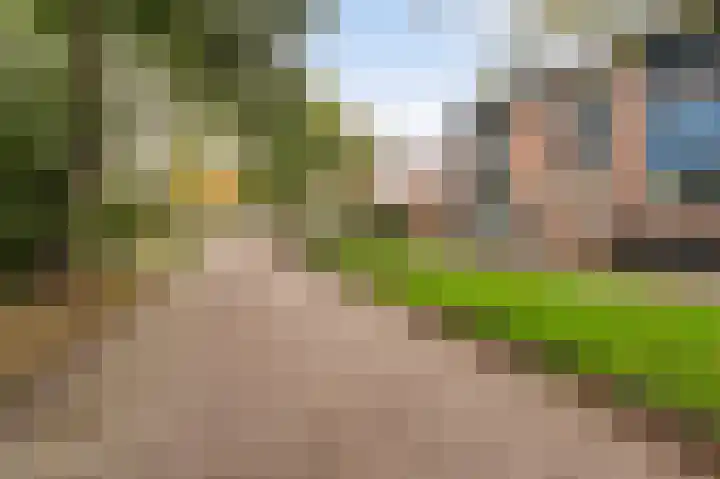 Pampuspad 34 Emmeloord thumbnail 7
