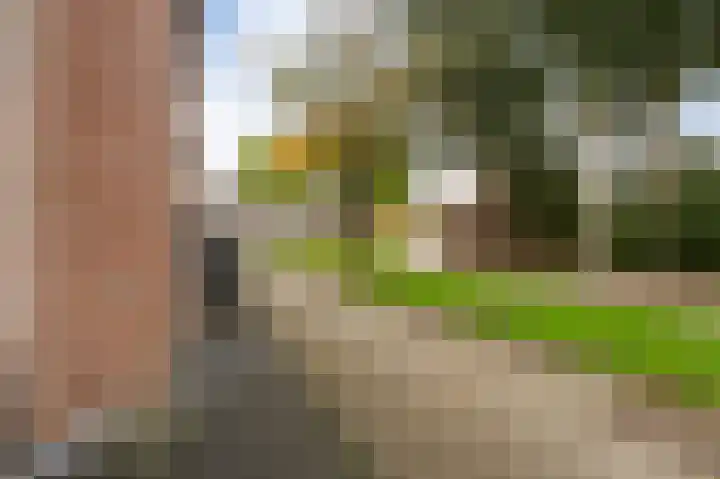 Pampuspad 34 Emmeloord thumbnail 8