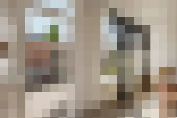 Pampusstraat 15 Rijsenhout thumbnail 15