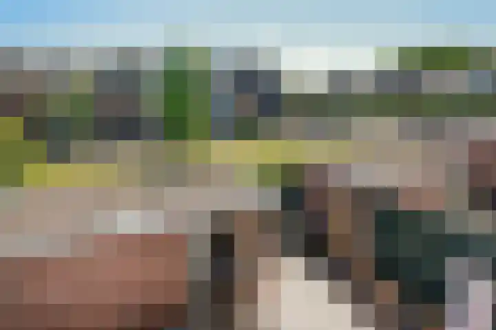 Pampusstraat 15 Rijsenhout thumbnail 33