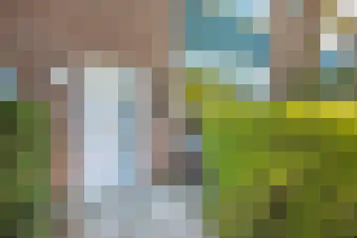 Pampusstraat 15 Rijsenhout thumbnail 35