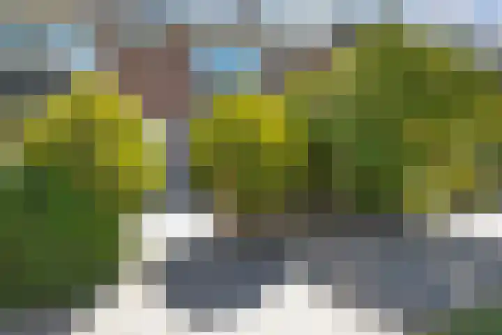 Pampusstraat 15 Rijsenhout thumbnail 38