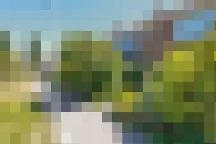 Pampusstraat 15 Rijsenhout thumbnail 39