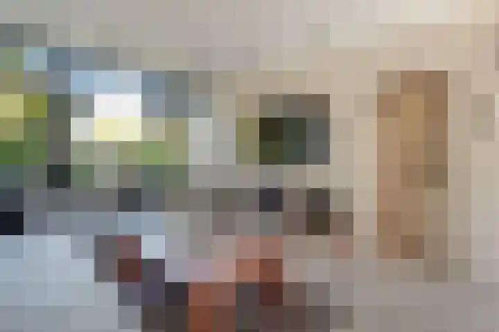 Pampusstraat 15 Rijsenhout thumbnail 6