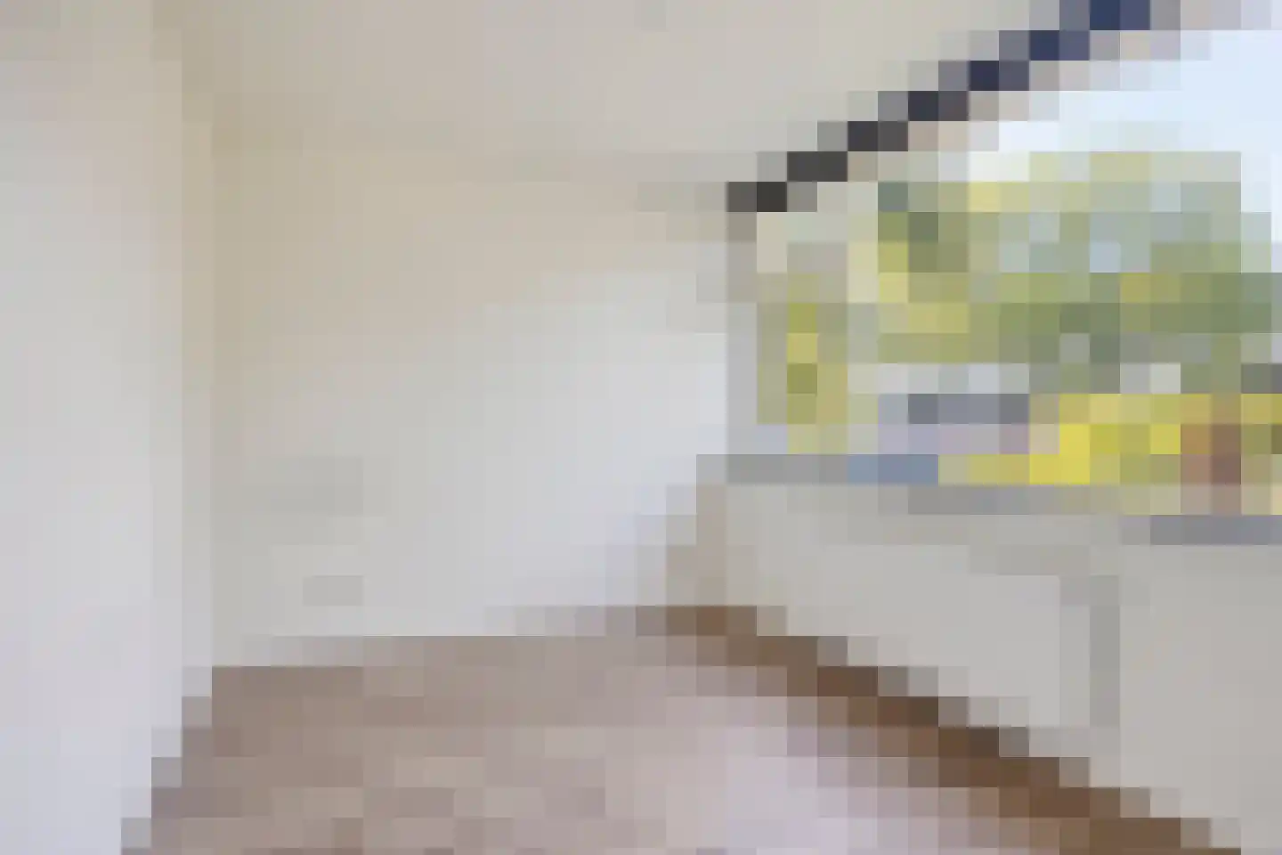 Pampusstraat 33 Rijsenhout thumbnail 21