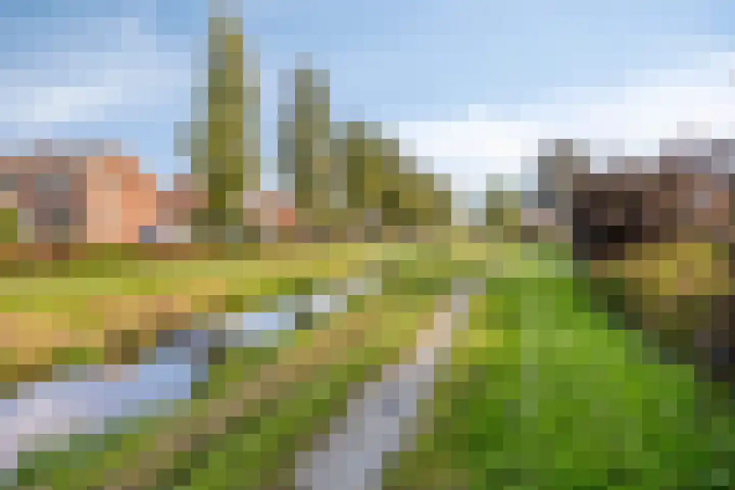 Pampusstraat 33 Rijsenhout thumbnail 33