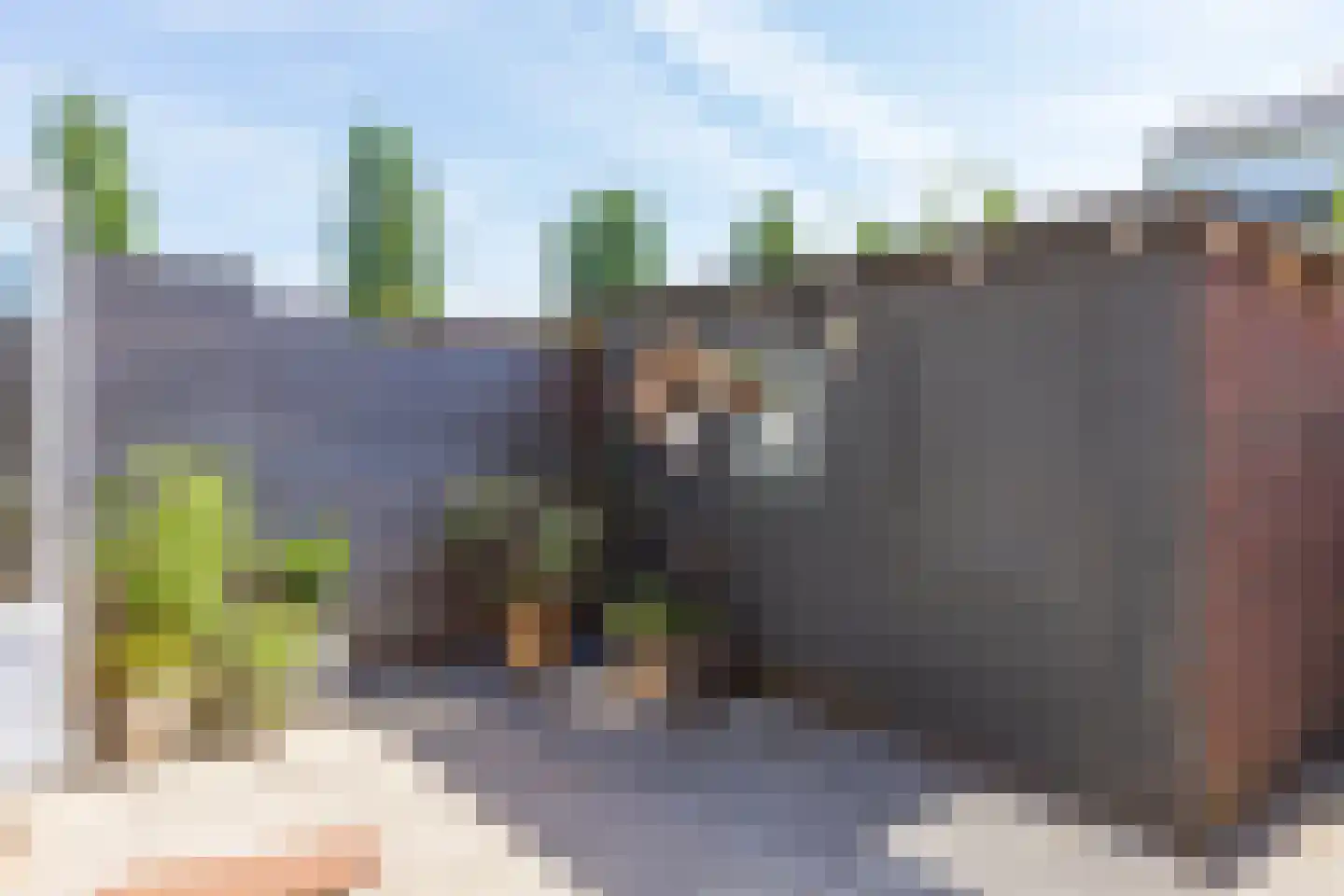 Pampusstraat 45 Rijsenhout thumbnail 32