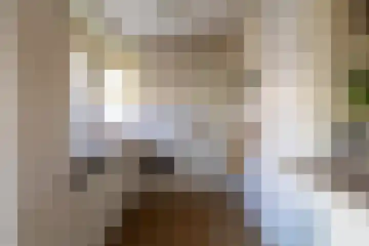 Panakker 2 Kaatsheuvel thumbnail 12