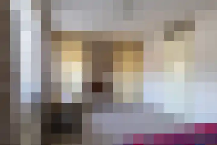 Panakker 2 Kaatsheuvel thumbnail 21