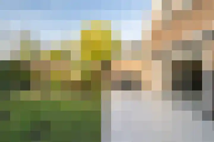 Panakker 2 Kaatsheuvel thumbnail 32