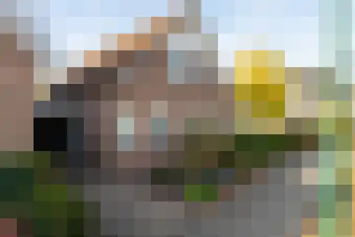 Panakker 2 Kaatsheuvel thumbnail 6