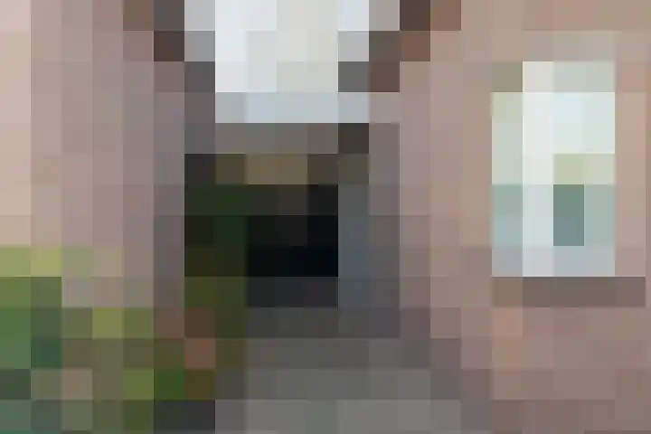 Panakker 2 Kaatsheuvel thumbnail 7
