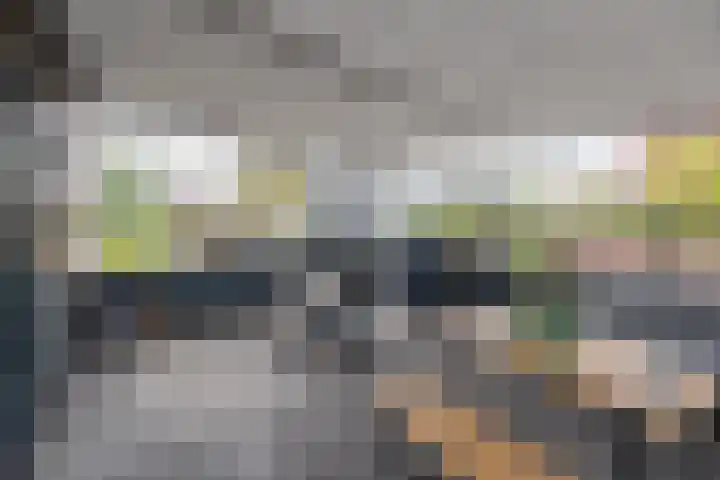 Panamahof 1 IJsselstein thumbnail 16