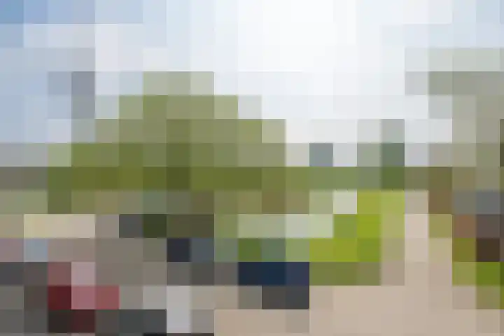 Panamahof 1 IJsselstein thumbnail 18