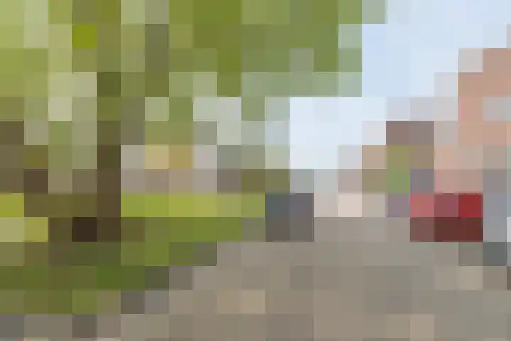 Panamahof 1 IJsselstein thumbnail 34