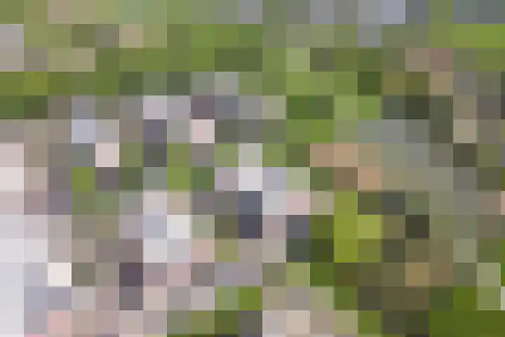 Panamahof 1 IJsselstein thumbnail 35