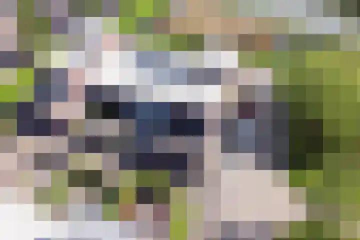 Panamahof 1 IJsselstein thumbnail 36