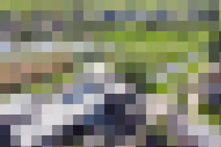 Panamahof 1 IJsselstein thumbnail 37