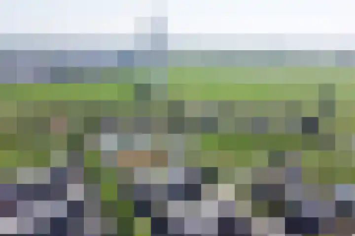 Panamahof 1 IJsselstein thumbnail 39
