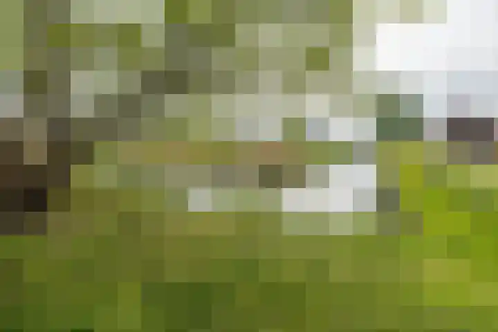 Panamahof 1 IJsselstein thumbnail 41