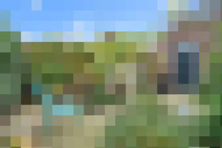 Panamahof 4 IJsselstein thumbnail 37