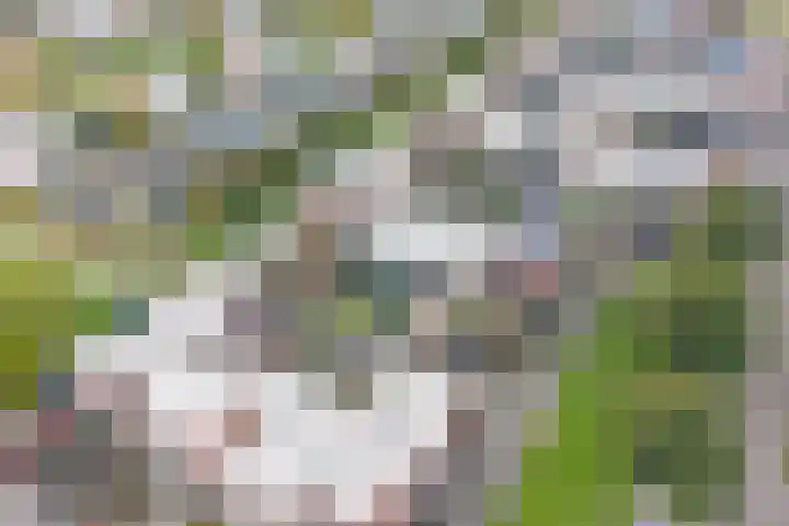 Panamahof 4 IJsselstein thumbnail 56