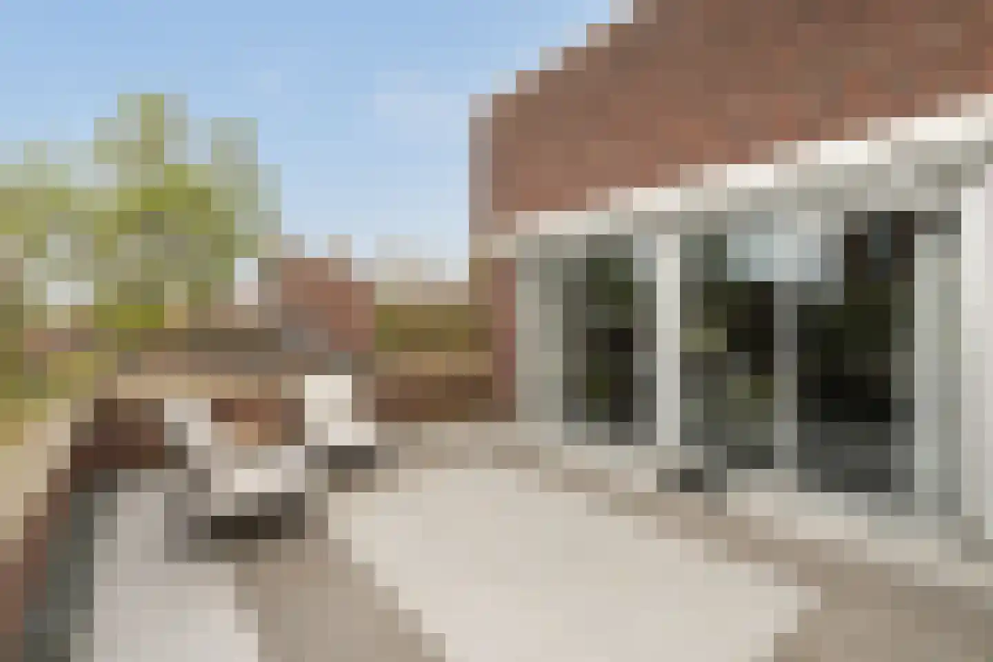 Panamahof 7 IJsselstein thumbnail 21