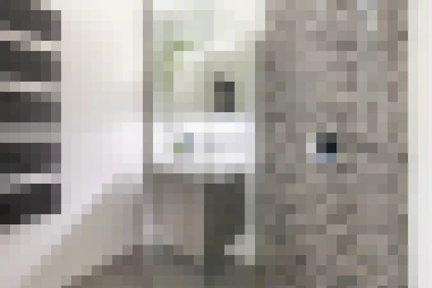 Panamahof 7 IJsselstein thumbnail 33