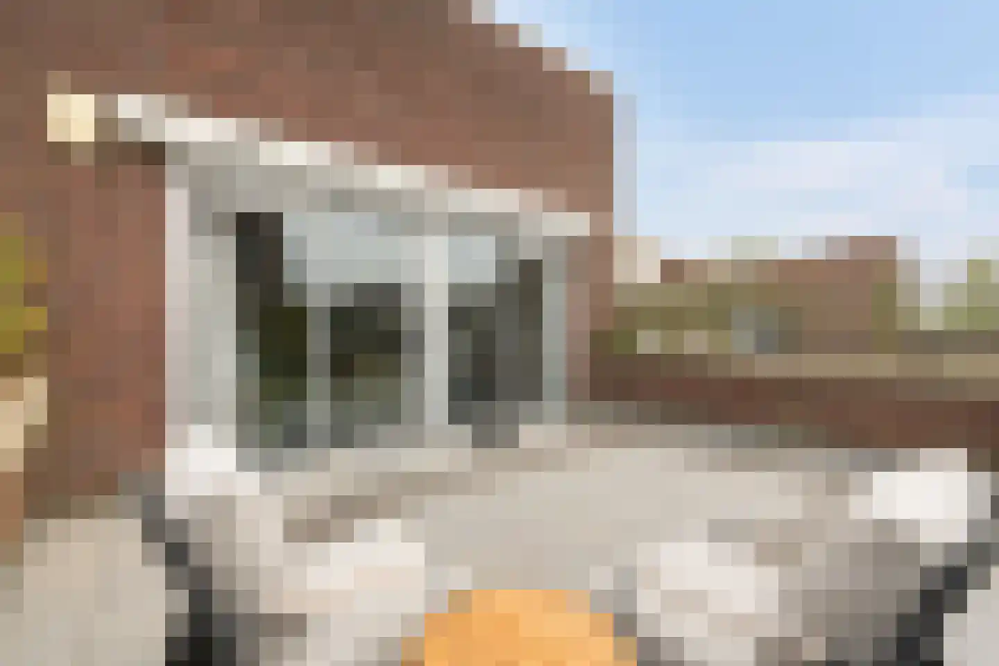 Panamahof 7 IJsselstein thumbnail 6