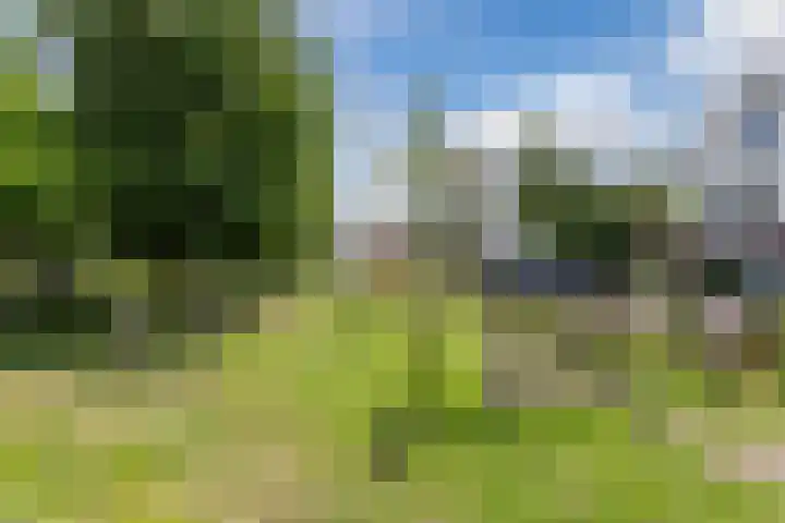 Panamakade 106 Amsterdam thumbnail 10