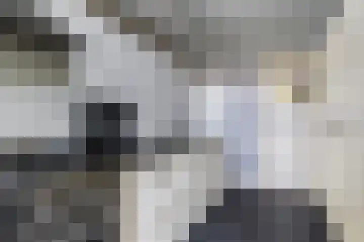 Panamakade 106 Amsterdam thumbnail 23