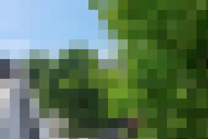 Panamakade 106 Amsterdam thumbnail 36