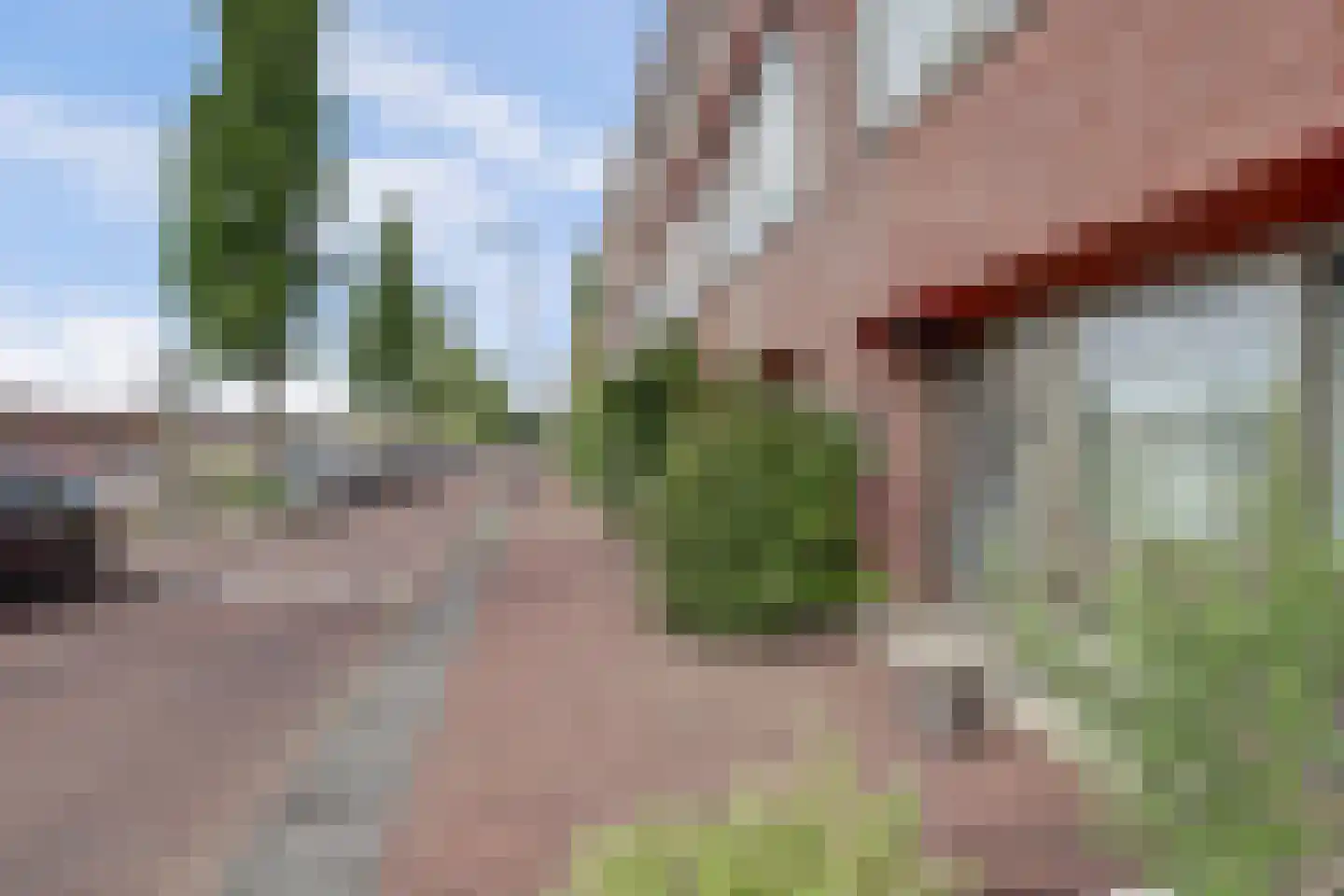 Panamakade 106 Amsterdam thumbnail 6
