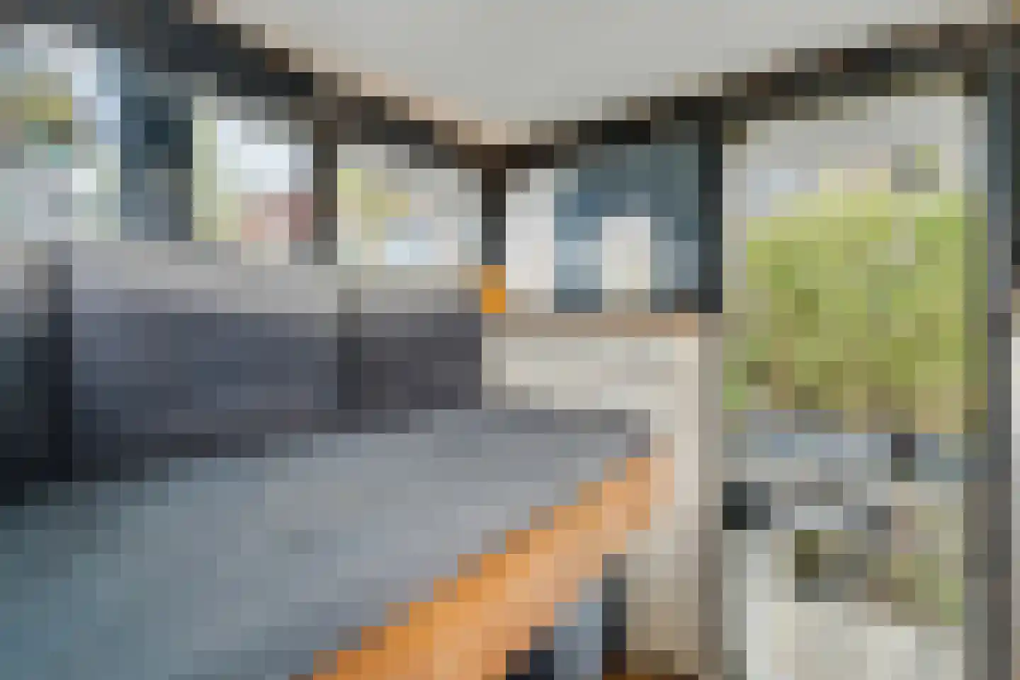Panamakade 11 Amsterdam thumbnail 24