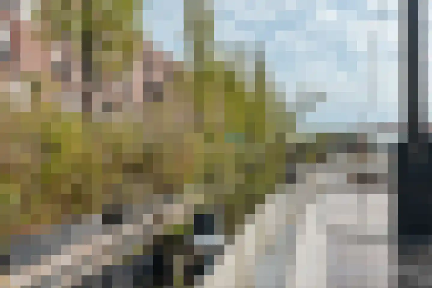 Panamakade 11 Amsterdam thumbnail 33