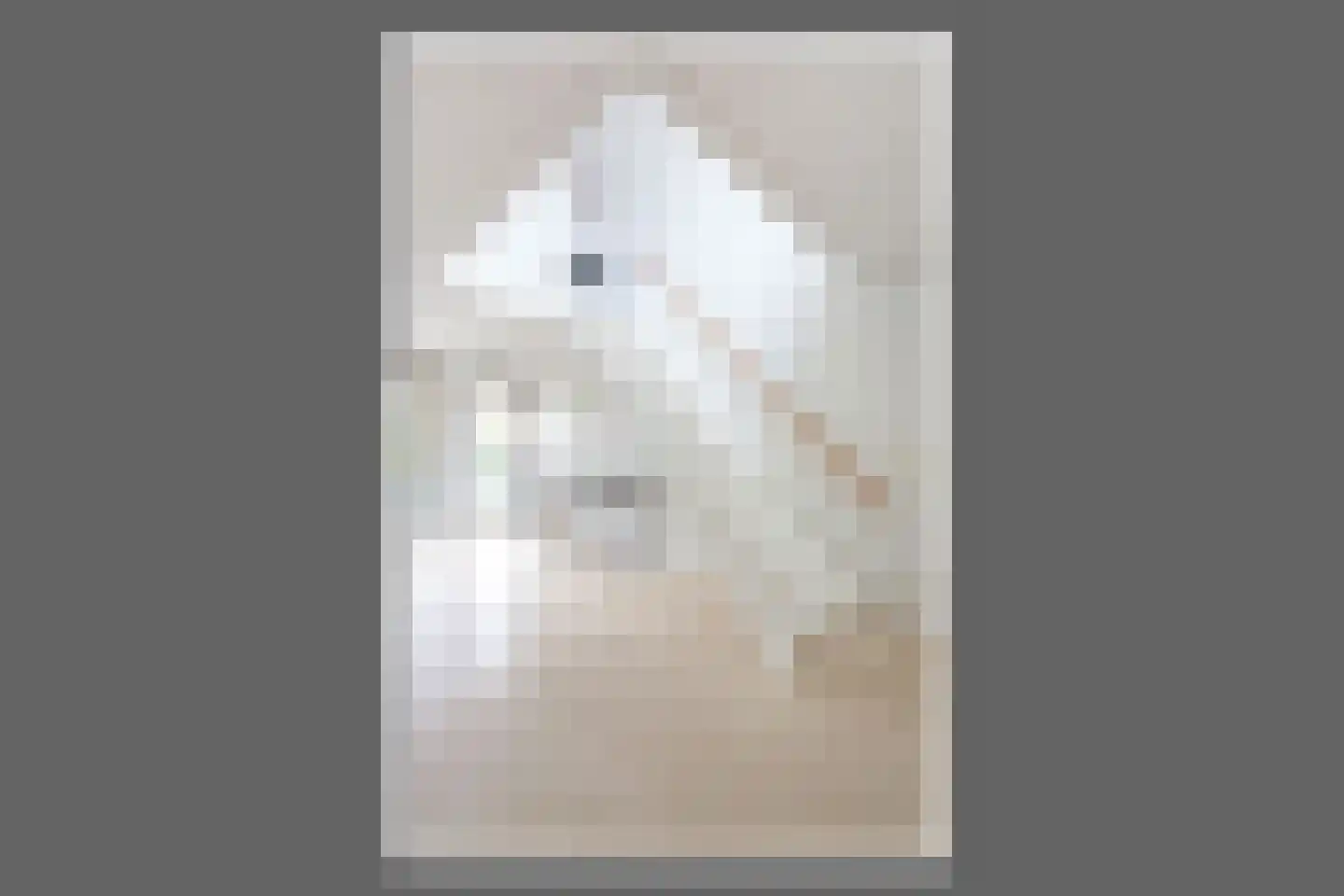 Panamakade 120 Amsterdam thumbnail 13