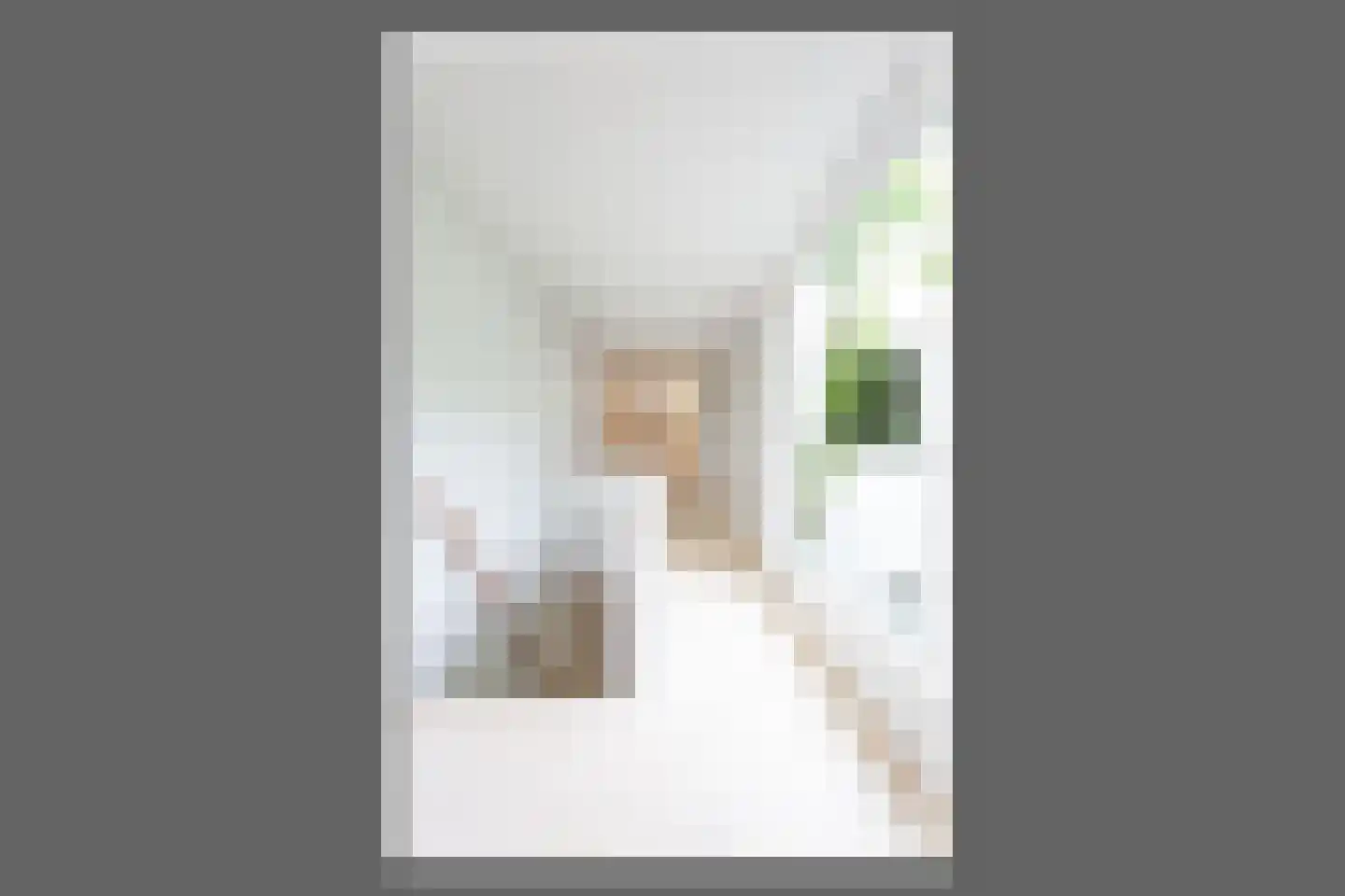 Panamakade 120 Amsterdam thumbnail 15