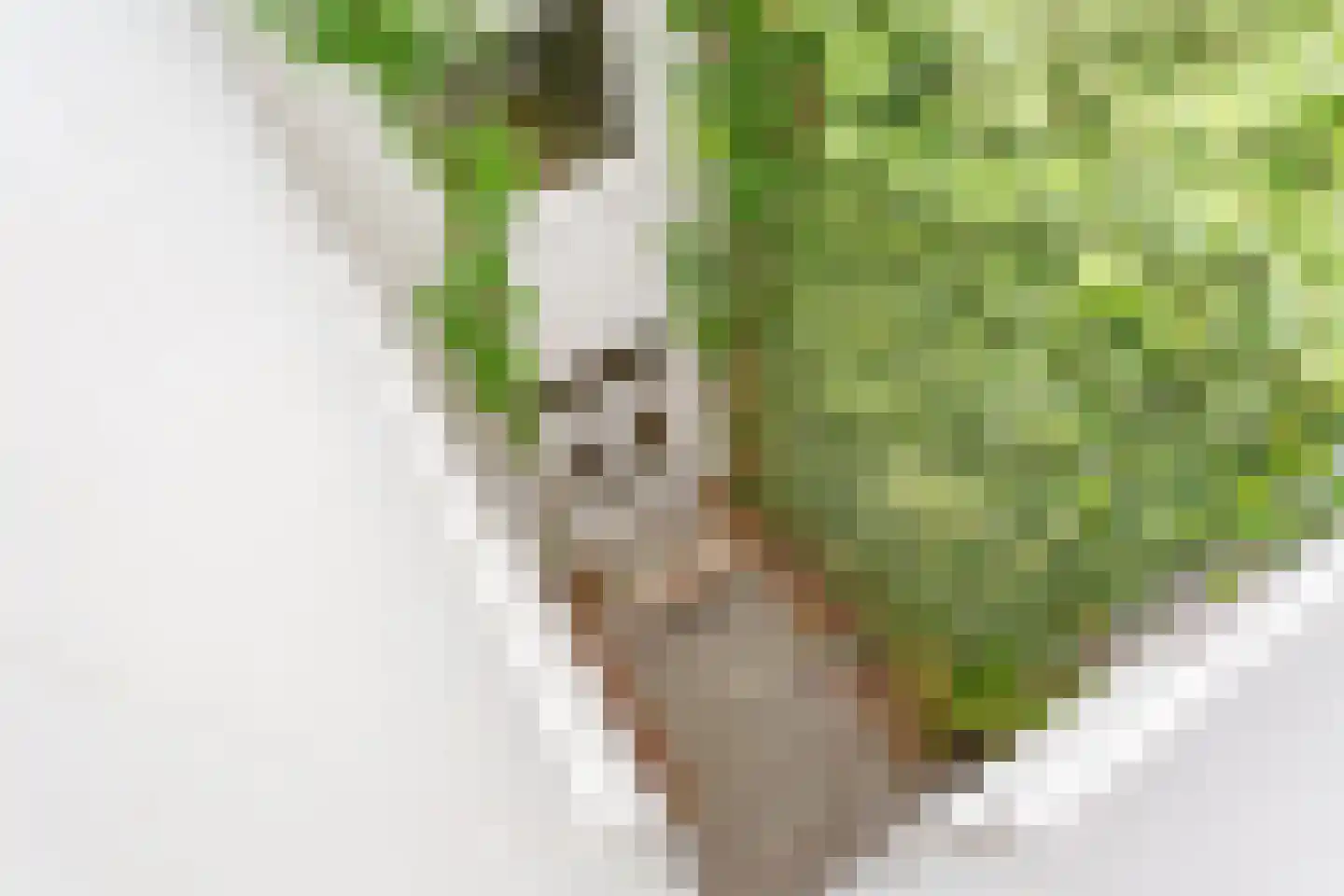Panamakade 120 Amsterdam thumbnail 30
