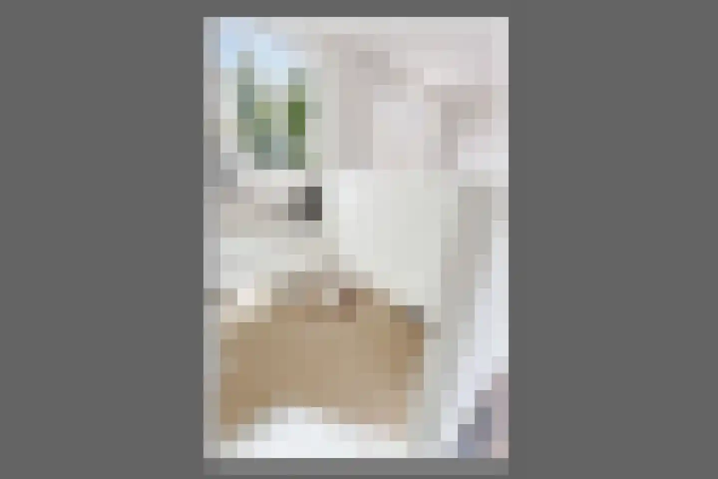 Panamakade 120 Amsterdam thumbnail 34