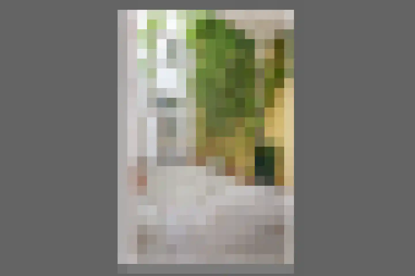 Panamakade 120 Amsterdam thumbnail 35
