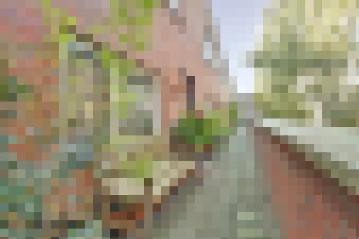 Panamakade 14 Amsterdam thumbnail 10
