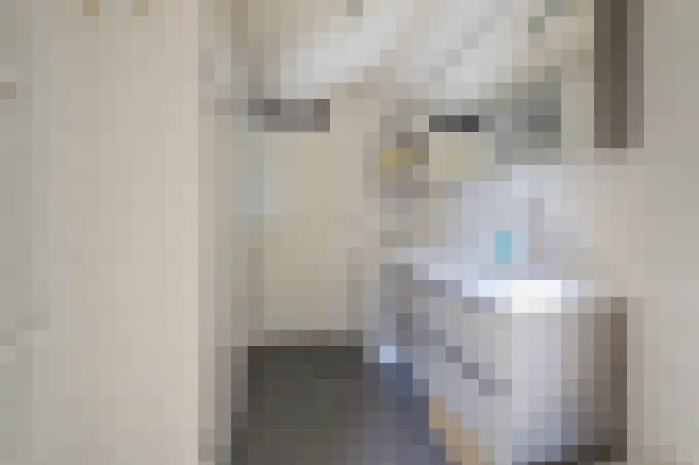 Panamakade 14 Amsterdam thumbnail 19