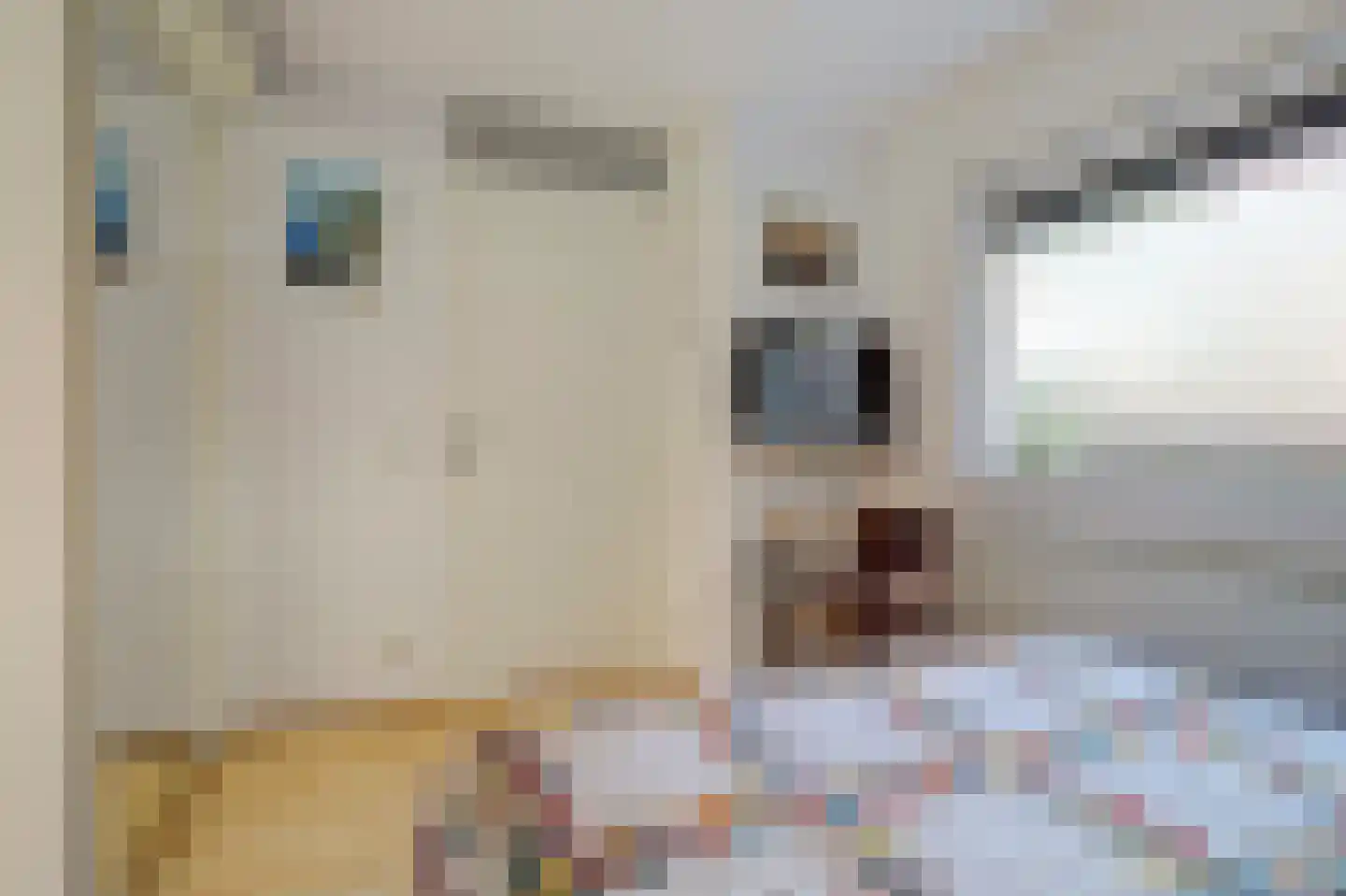 Panamakade 14 Amsterdam thumbnail 23